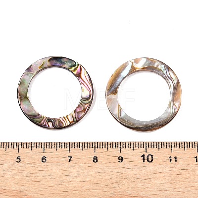 Natural Abalone Shell/Paua Shell Cabochons SHEL-T020-10B-1