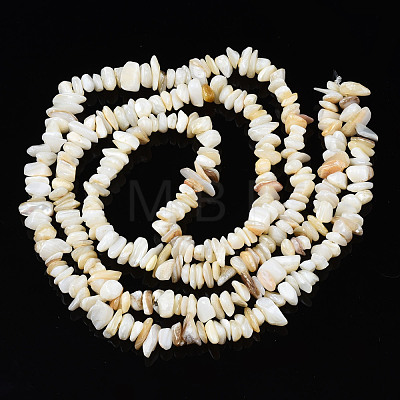 Natural Freshwater Shell Beads Strands SHEL-S278-070G-1