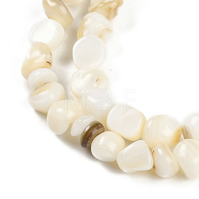 Natural Freshwater Shell  Beads Strands BSHE-H109-06-1