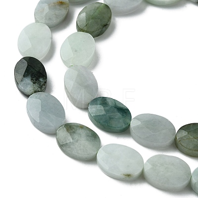 Natural Myanmar Jadeite Beads Strands G-A092-E01-02-1