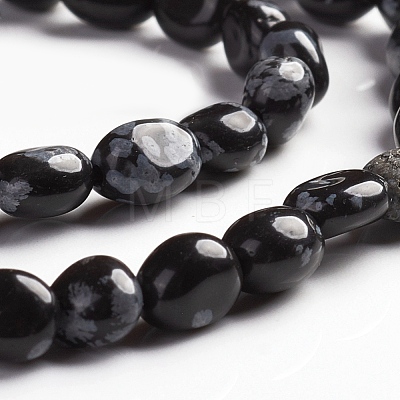 Natural Snowflake Obsidian Beads Strands G-D0002-B19-1
