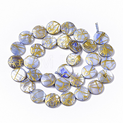 Drawbench Freshwater Shell Beads Strands X-SHEL-T014-012B-1