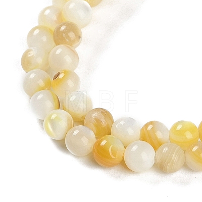 Natural Trochus Shell Beads Strands BSHE-H109-12B-1