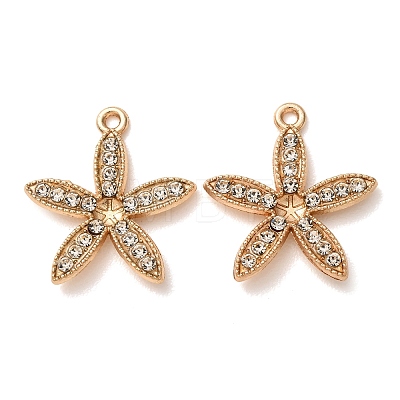 Alloy Rhinestone Pendants Cabochon Settings RB-CBAA987-10KCG-1