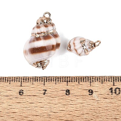 Electroplate Natural Spiral Shell Pendants SSHEL-Q100-33G-1