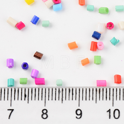 Two Cut Glass Seed Beads SEED-T005-02-1