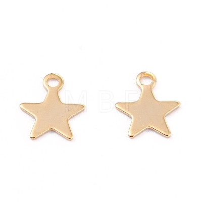 201 Stainless Steel Charms STAS-B001-14A-G-1