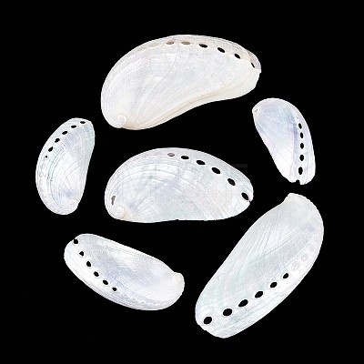 Abalone Shells Ornaments SHEL-T020-54-1