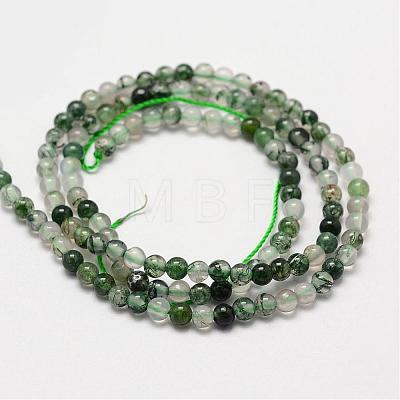 Natural Moss Agate Beads Strands G-N0184-07-2mm-1