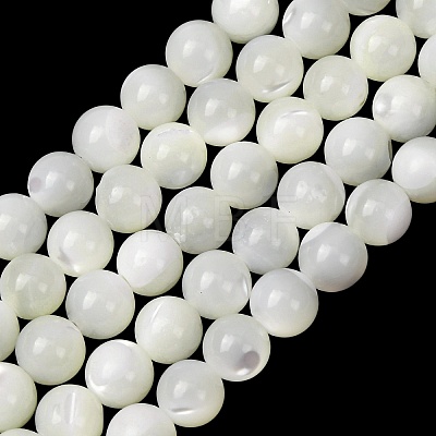 Natural Trochid Shell/Trochus Shell Beads Strands SH-CBA2978-16A-1