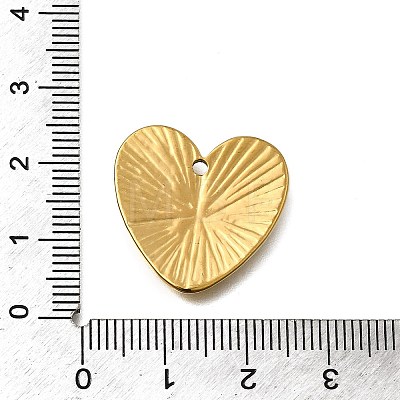 304 Stainless Steel Pendants STAS-Z163-01G-02-1
