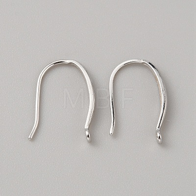 Sterling Silver Earring Hooks STER-WH0013-01-1