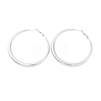 304 Stainless Steel Hoop Earrings EJEW-Z093-01P-01-1