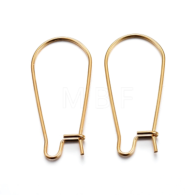 304 Stainless Steel Hoop Earring Findings STAS-P223-01G-05-1