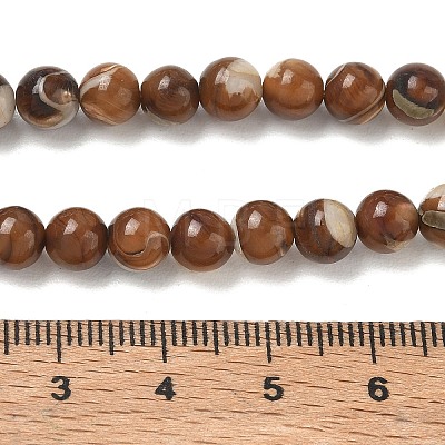 Natural Trochus Shell Beads Strands SH-CBAFEDD-02A-1