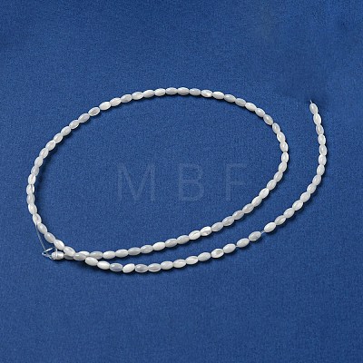 Natural Trochus Shell Beads Strands SSHEL-H072-02A-1