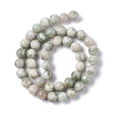 Natural Peace Jade Beads Strands X-G-G905-07-6MM-1