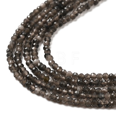 Natural Silver Sheen Obsidian Beads Strands G-E608-A02-A-1