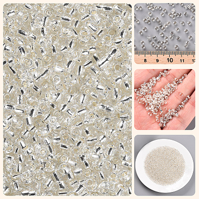 3000Pcs Glass Seed Beads SEED-PA0001-29B-05-1