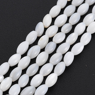 Natural Freshwater Shell Beads Strands SHEL-N027-08A-1