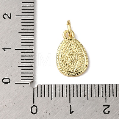 Rack Plating Brass Enamel Charms KK-B092-21G-03-1