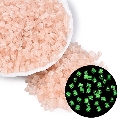 FGB Grade A Frosted Glass Seed Beads SEED-Q040-04A-09-1
