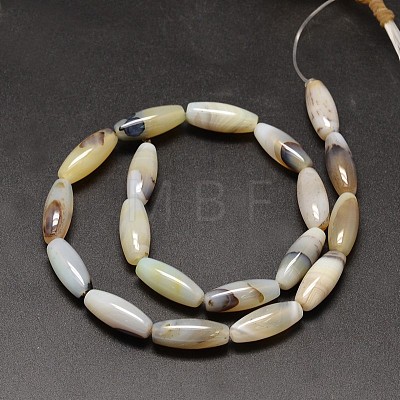 Rice Natural Dendritic Agate Bead Strands G-M257-20x8mm-18-1