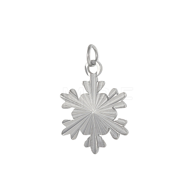 304 Stainless Steel Pendants STAS-OY005-56P-1