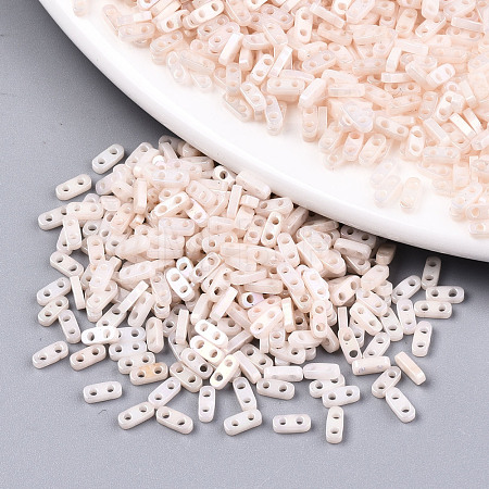 FGB 2-Hole Glass Seed Beads X-SEED-S031-S-SQ1204R-1