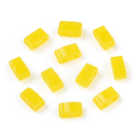2-Hole Glass Seed Beads SEED-T003-01B-13-1