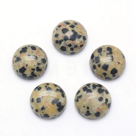 Natural Dalmatian Jasper Cabochons G-P393-R33-4MM-1