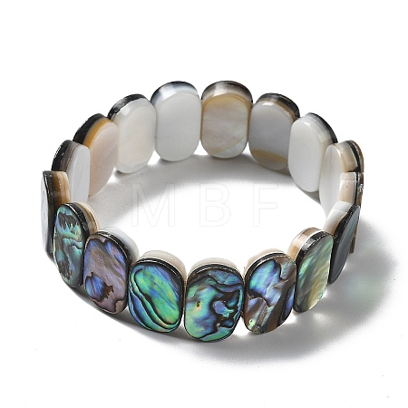 Natural Abalone Shell/Paua Shell Stretch Bracelets BJEW-L613-24-01-1