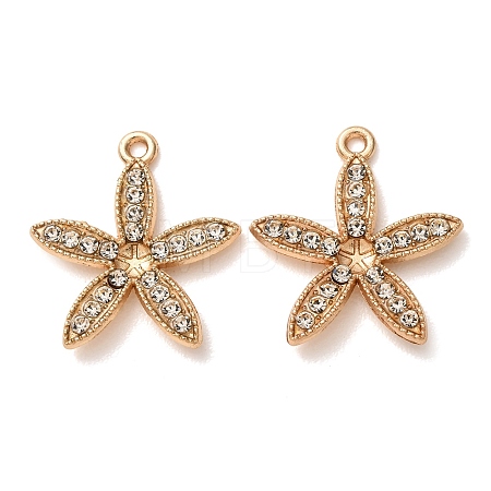 Alloy Rhinestone Pendants Cabochon Settings RB-CBAA987-10KCG-1