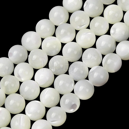 Natural Trochid Shell/Trochus Shell Beads Strands SH-CBA2978-16A-1