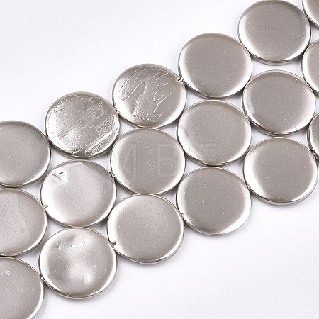 Shell Pearl Beads Strands X-SSHEL-T007-22B-1