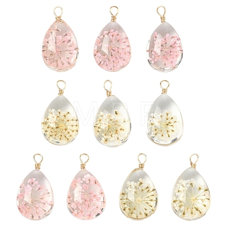 10Pcs 2 Colors Glass Pendants GLAA-YW0005-46-1