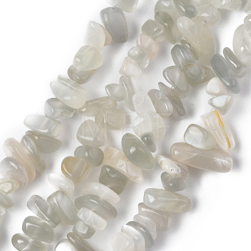 Natural White Moonstone Chip Beads Strands G-M205-68A-1