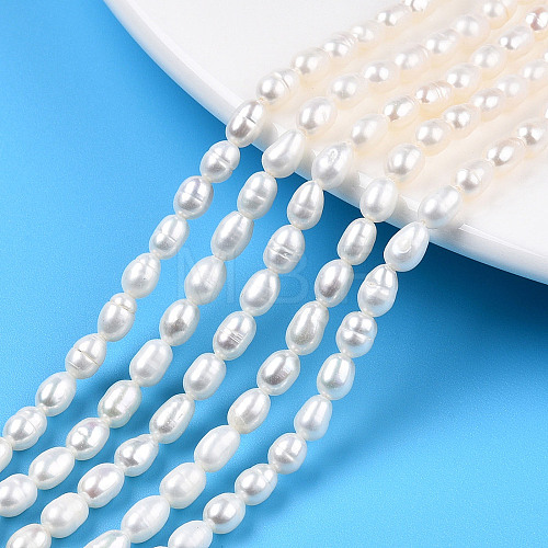 Natural Cultured Freshwater Pearl Beads Strands PEAR-N012-03E-1