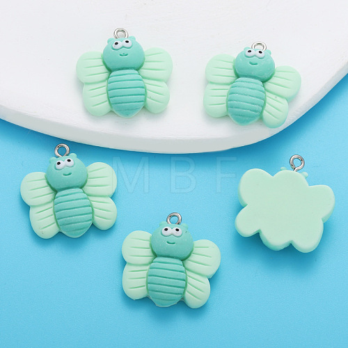 Resin Pendants PW-WG10E3C-04-1