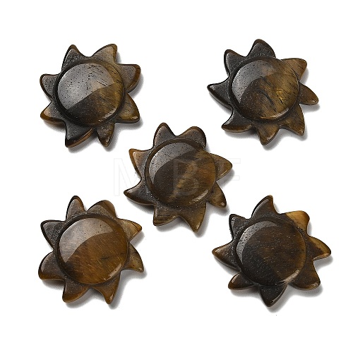 Natural Tiger Eye Cabochons G-Q190-01D-1