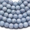 Natural Malaysia Jade Beads Strands G-L645-A01-12mm-11-4