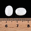 Natural Freshwater Shell Cabochons SHEL-T020-04-3