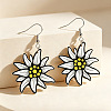 Iron & Acrylic Dangle Earrings for Women WGF0FCA-01-1