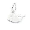 925 Sterling Silver Charms STER-M119-09A-S-1