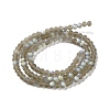 Transparent Glass Beads Strands EGLA-A034-T4mm-MB16-3