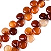 Natural Red Agate Beads Strands G-T138-123-1