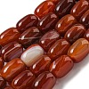 Natural Banded Agate/Striped Agate Beads Strands G-A223-D12-01C-1