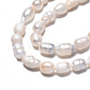 Natural Cultured Freshwater Pearl Beads Strands PEAR-N012-05C-4