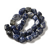 Natural Blue Spot Jasper Beads Strands G-B078-D33-04-2