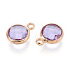 Golden Tone Brass Glass Charms X-GLAA-ZX008-24I-G-2